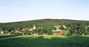 盖瑟夫罗特罗伯酒店 Zell im Fichtelgebirge 外观 照片